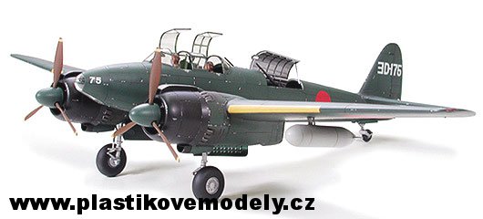 Nakajima J1N1-Sa Gekko Type 11 KOU  (Tamiya 1:48)